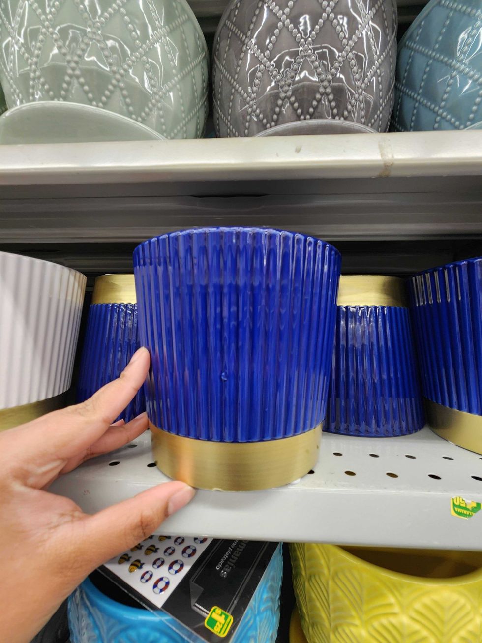 A planter at Dollarama.