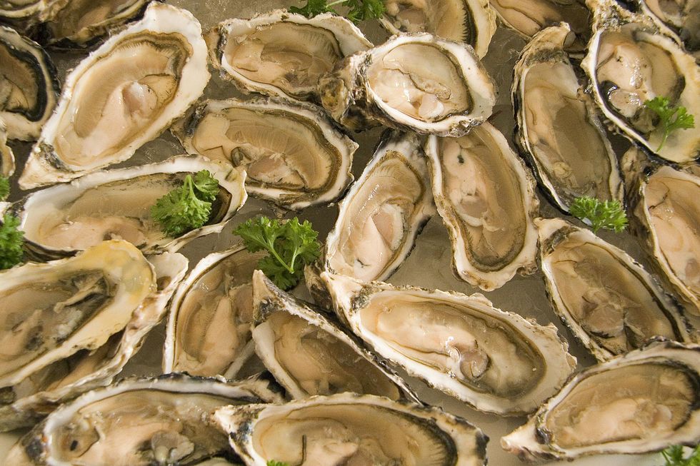 A plate of shucked oysters.
