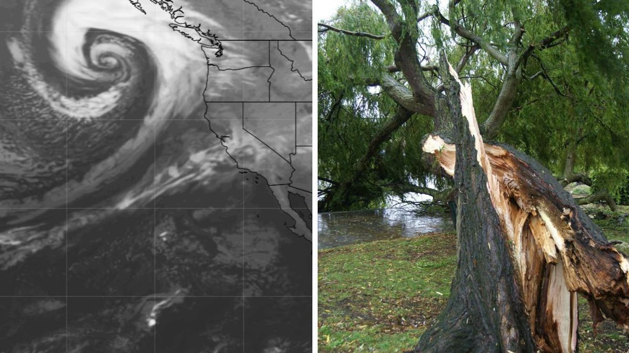A Powerful 'Bomb Cyclone' Will Hit BC & Hurricane-Force Winds Are Predicted For Some Areas