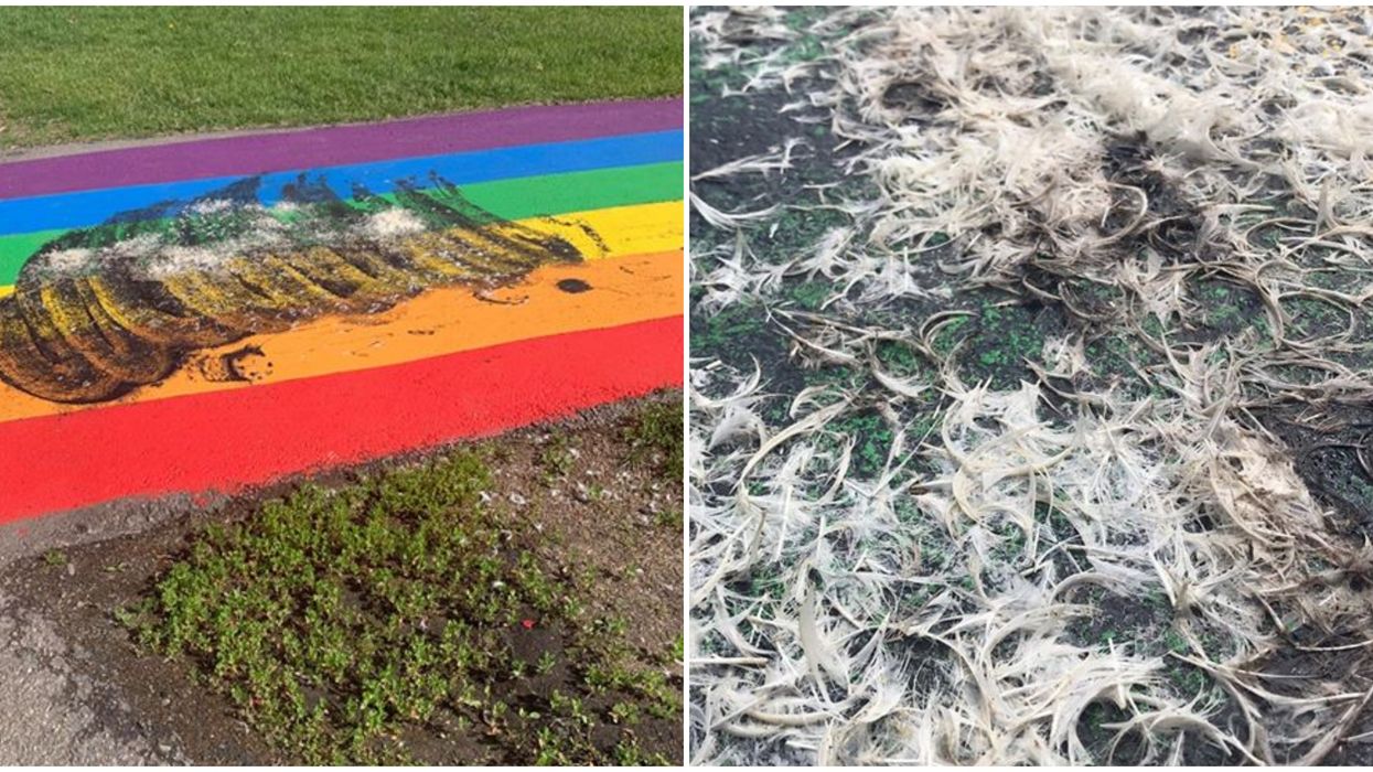 A Pride Sidewalk In Airdrie Has Been Brutally Defaced Twice In The Last Week (PHOTOS)