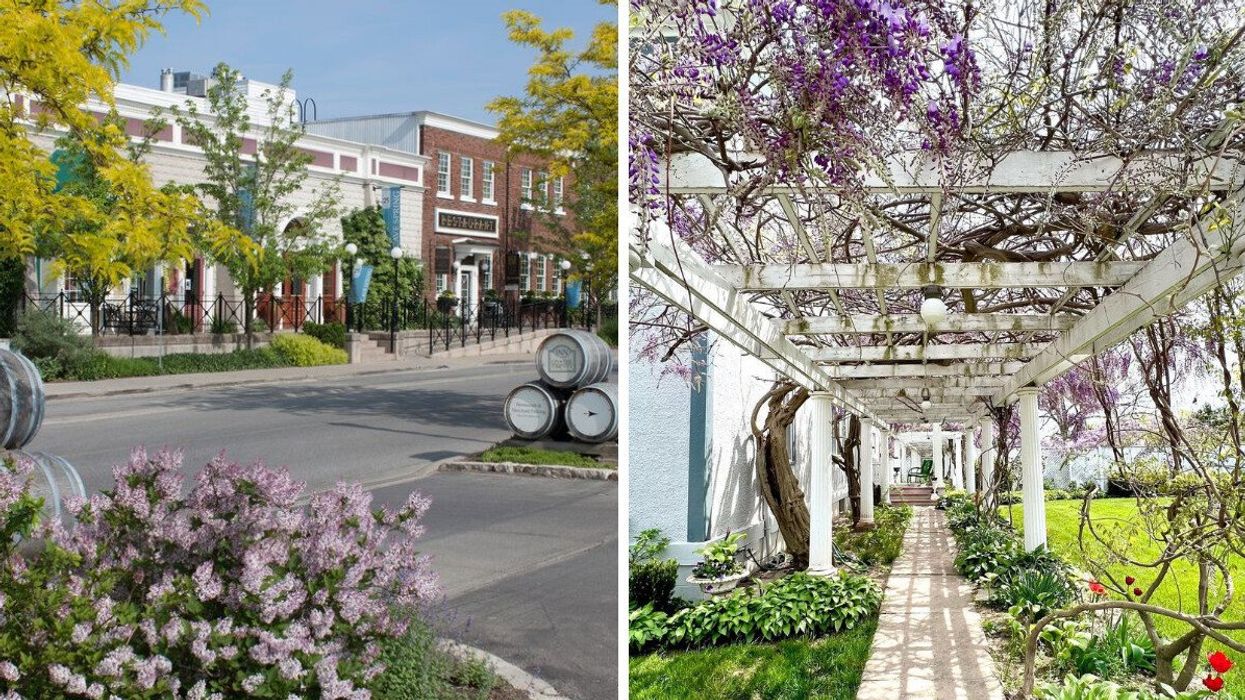 A quaint town with flowers. Right: An archway with wisteria blooms.