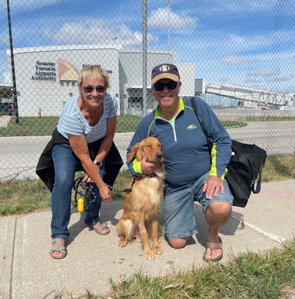 A rescued dog cuddles up to its new family.