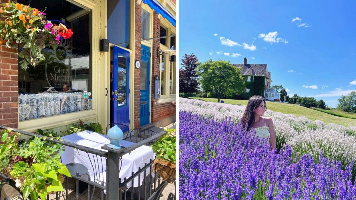 A restaurant patio. Right: A person in a lavender field.
