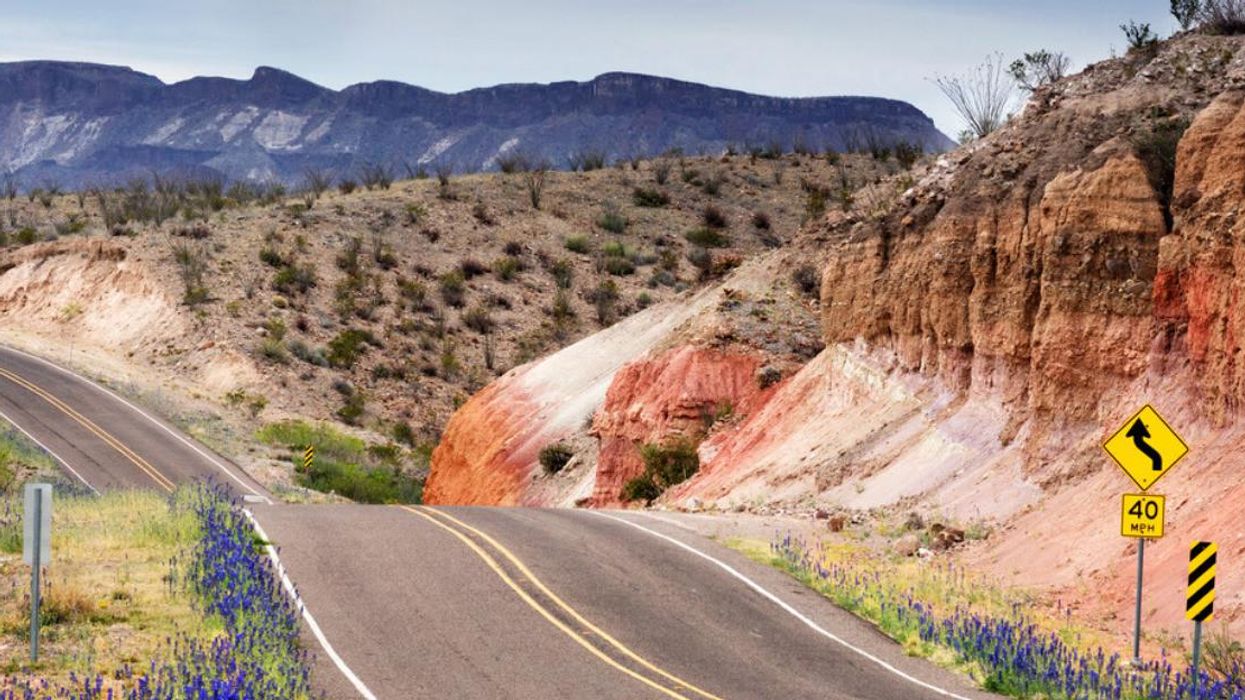 A road through Big Bend Ranch State Park in Texas.