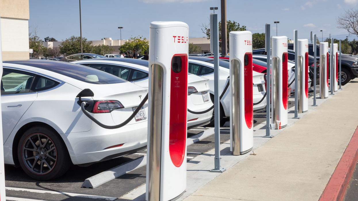 A row of white Tesla vehicles charging at Tesla charging stations.