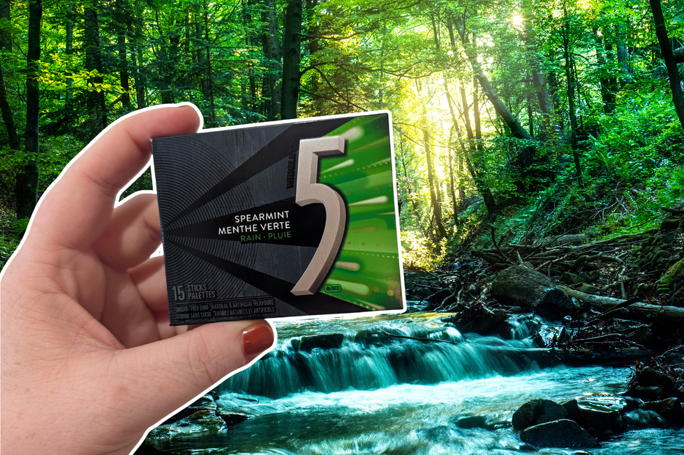 A rushing stream in a lush forest. A hand holding Rain flavour 5 Gum is on top.