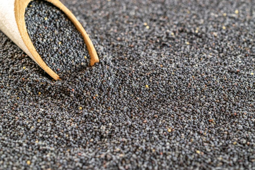 A scoop in a bunch of poppy seeds.