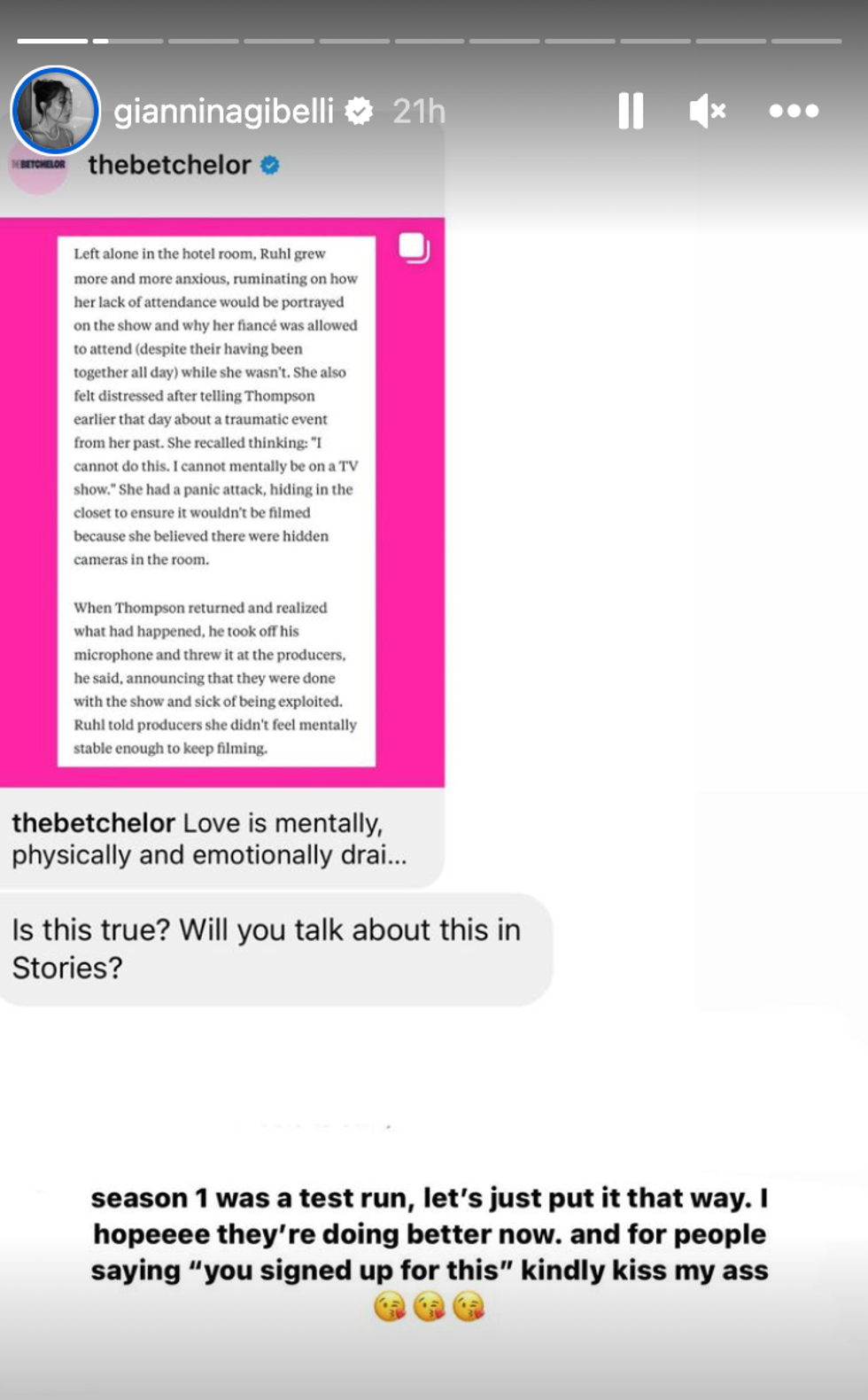 A screenshot of Giannina Gibelli's Instagram story.