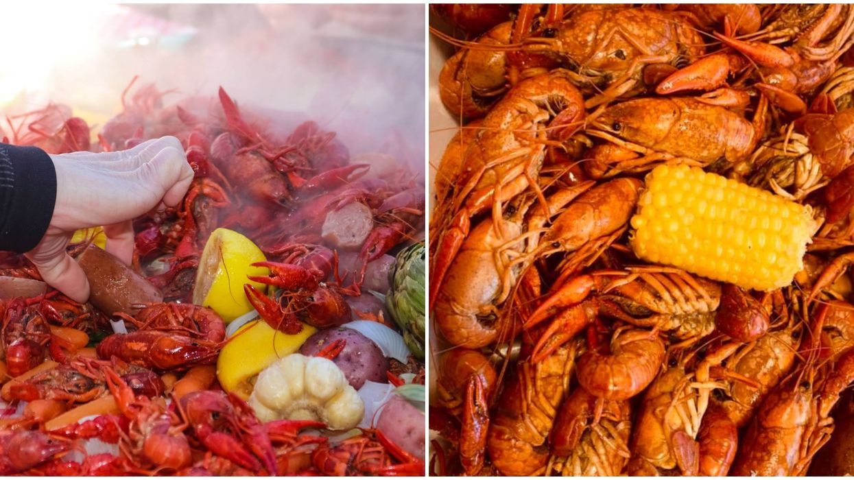 A Texas Seafood Festival Is Coming Near San Antonio This Fall Narcity a-texas-seafood-festival-is-coming-near-san-antonio-this-fall-narcity