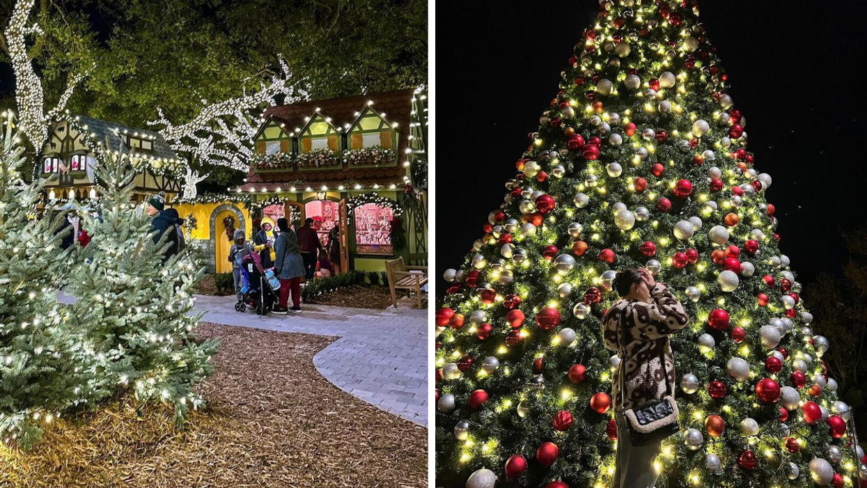 A section of the Christmas village at the Dallas Arboretum. Right: A woman standing in front of the giant tree.