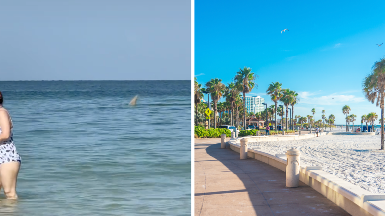 A shark fin peaking out of the water. Right: Clearwater beach in Tampa, Florida.