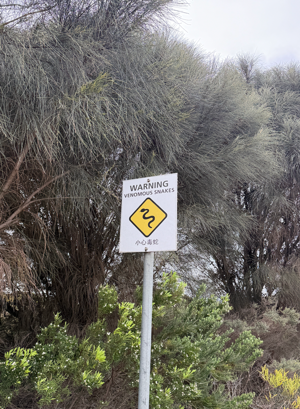 A sign with a snake warning on it.