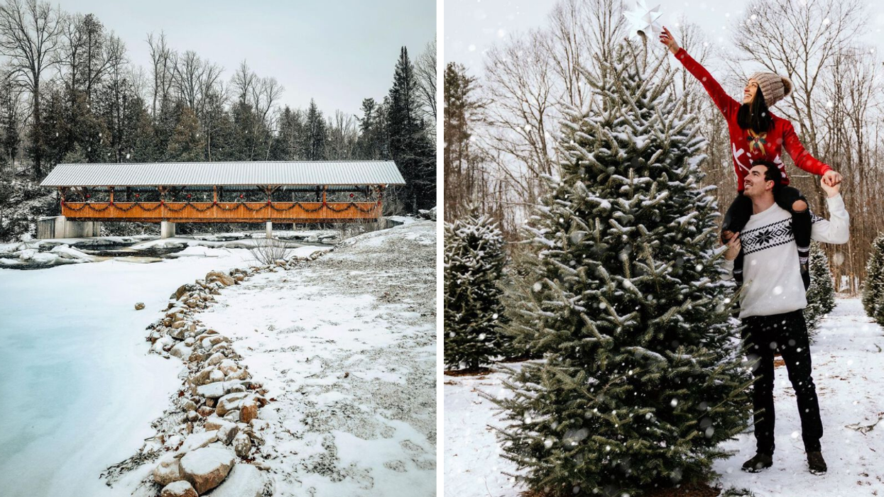 A snow-covered wooden bridge decorated with festive garlands. Right: A woman on a man’s shoulders reaches to place a star on top of a tall Christmas tree at Cedar Hill Farm.