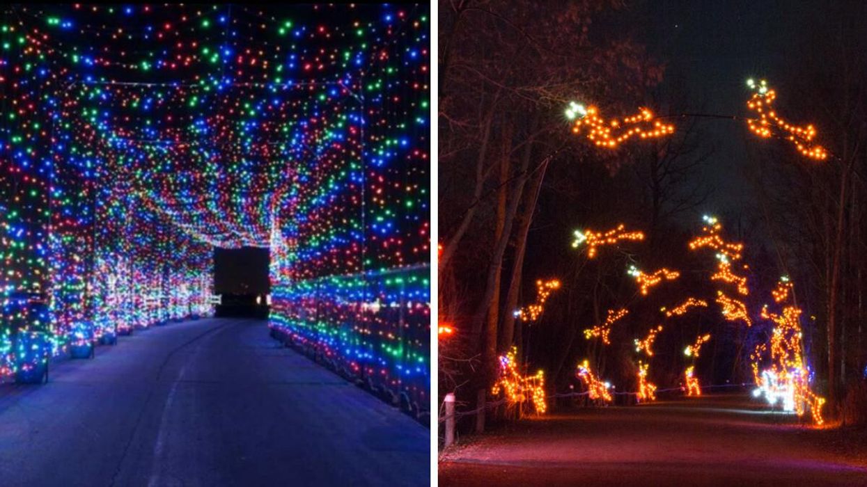 A sparkly light tunnel. Right: Reindeer light display at Bingemans.