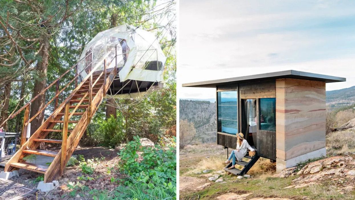 A sphere like structure with a staircase suspended in the trees. Right: A woman wearing a sunhat and petting an orange cat sitting on the steps of a small cabin with beautiful valley views.