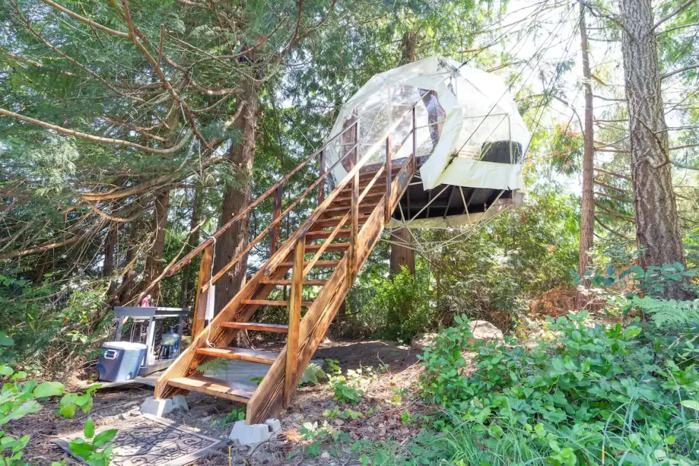 A sphere like structure with a staircase suspended in the trees.