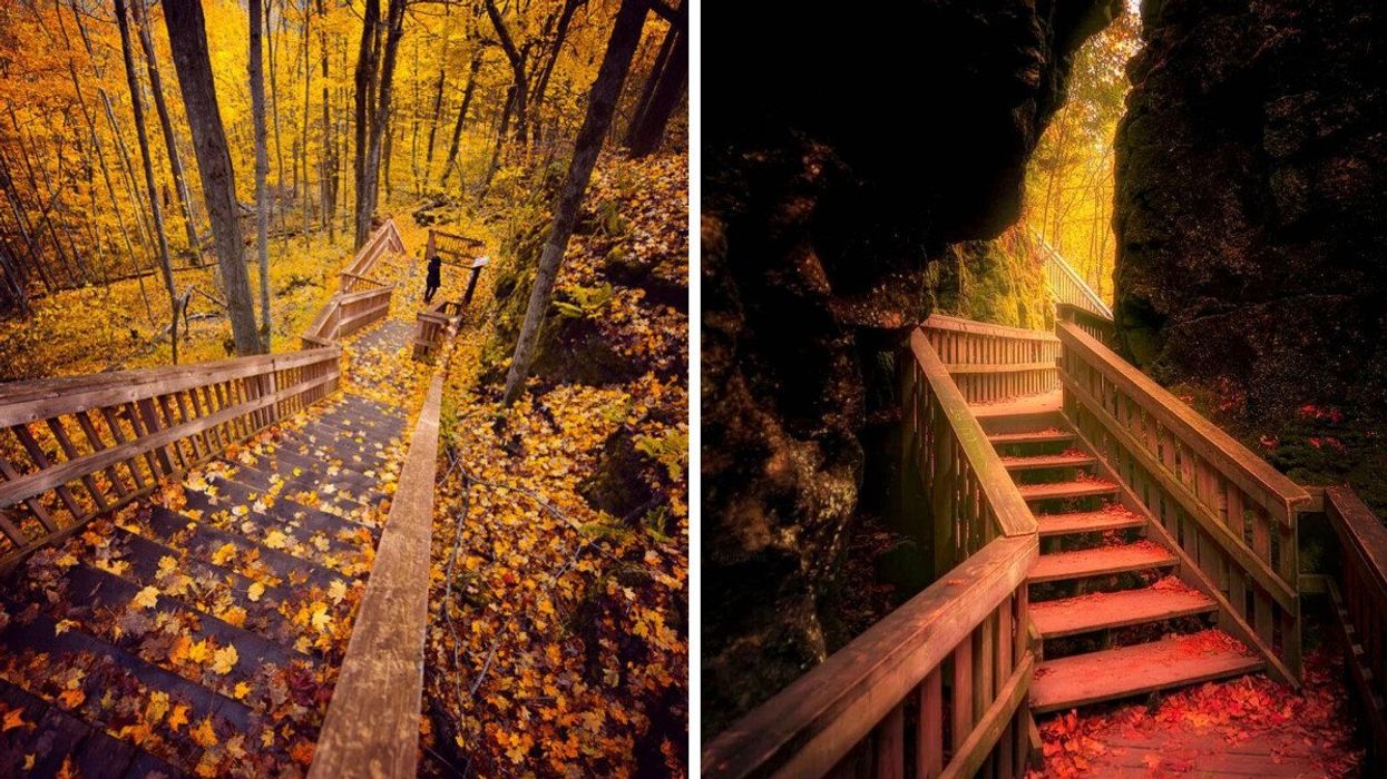 A staircase covered in autumn leaves.