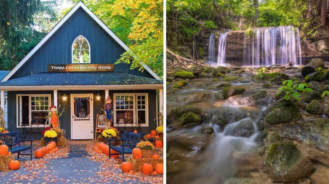 A store with pumpkins and fall decor. Right: A waterfall in a forest.