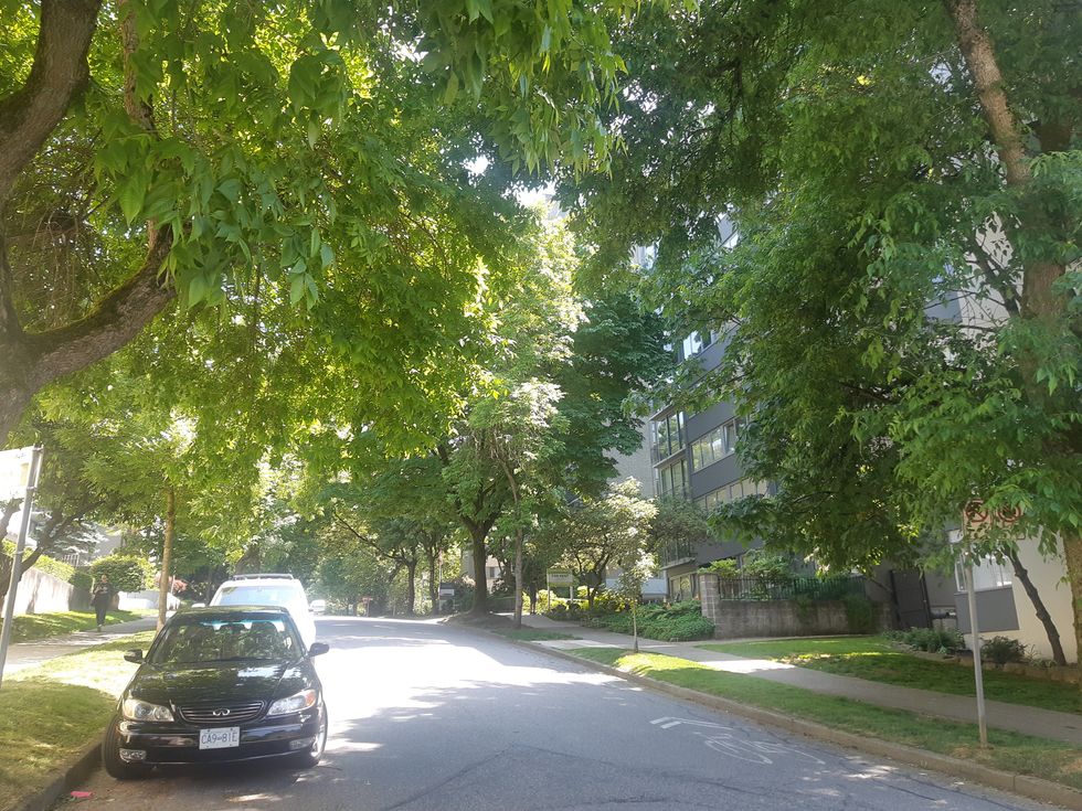 A street lined with trees and cars parked on one side.