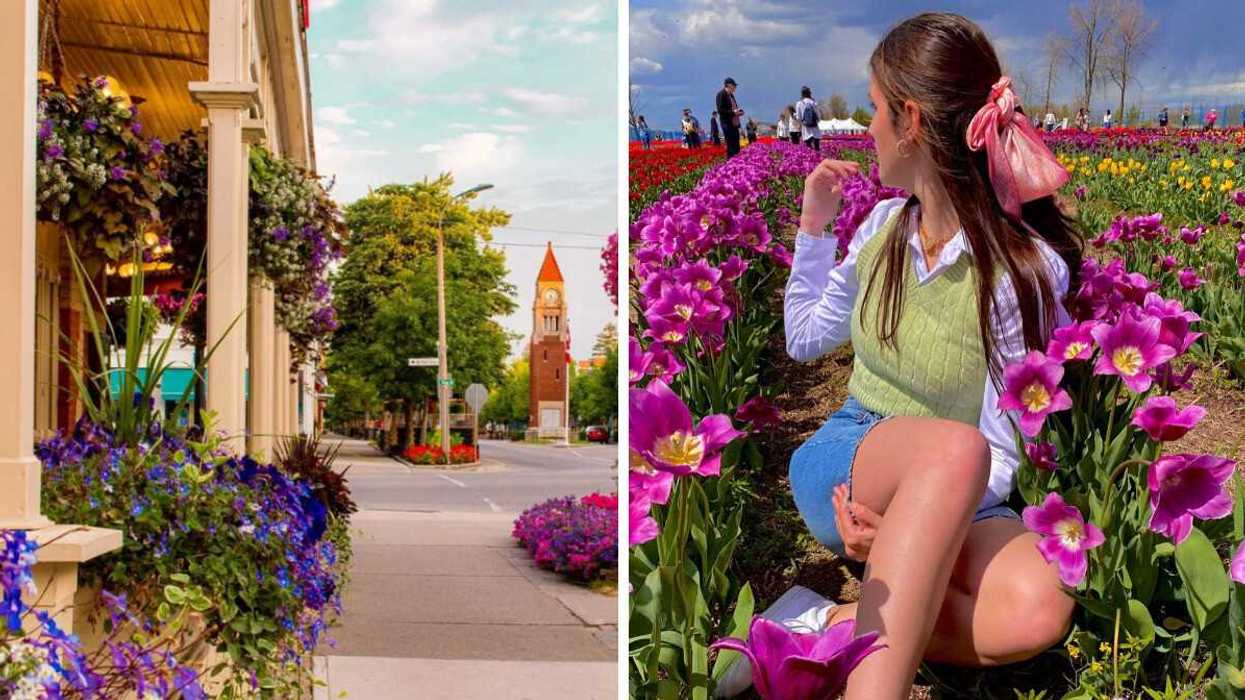 A street with flowers. Right: A person sitting in a flower field.