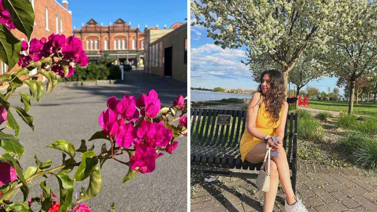 A street with flowers. Right: A person sitting on a bench by a blossoming tree.