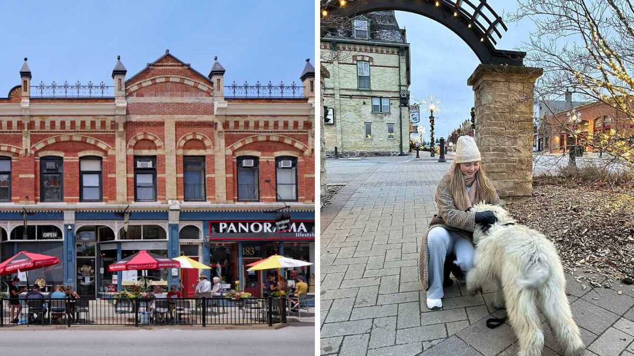 A street with historic architecture. Right: A person petting a dog.