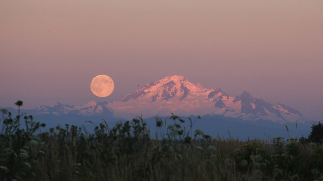 A ‘Super Blood Flower Moon’ Could Be Spotted In Canada's Skies Soon & That's Not All