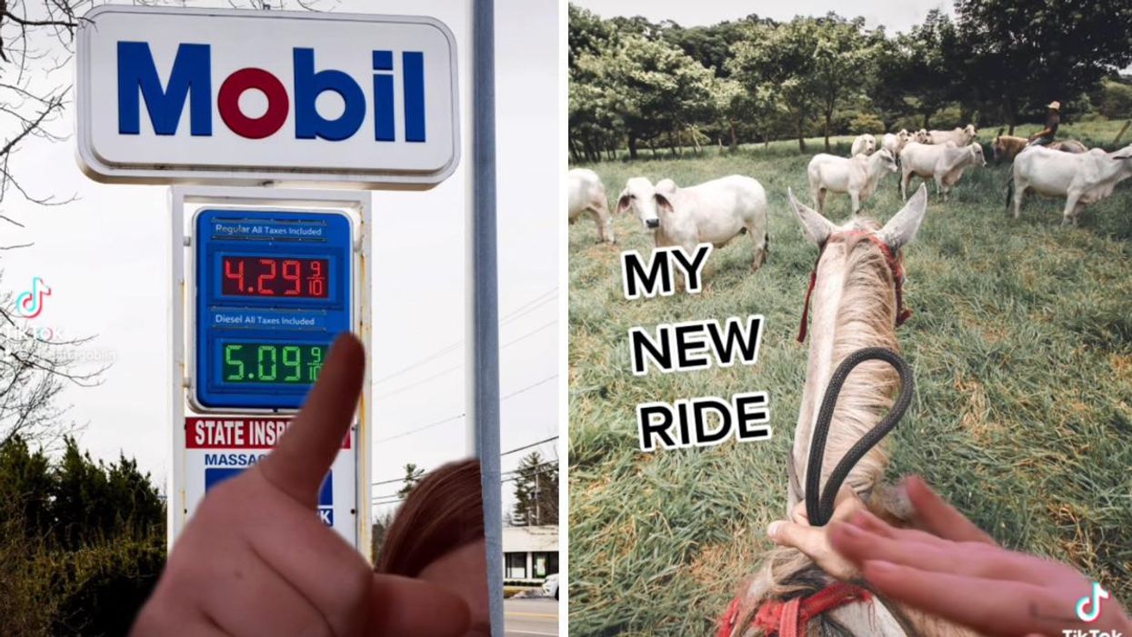 A TikTok of a finger pointing to expensive gas. Right: A TikTok of a horse reads 'MY NEW RIDE'.