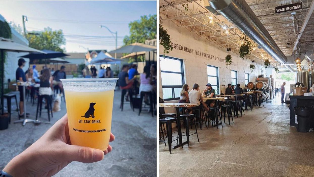 A Toronto Brewery Is Having A Huge Singles Night This Month For You & Your Dog