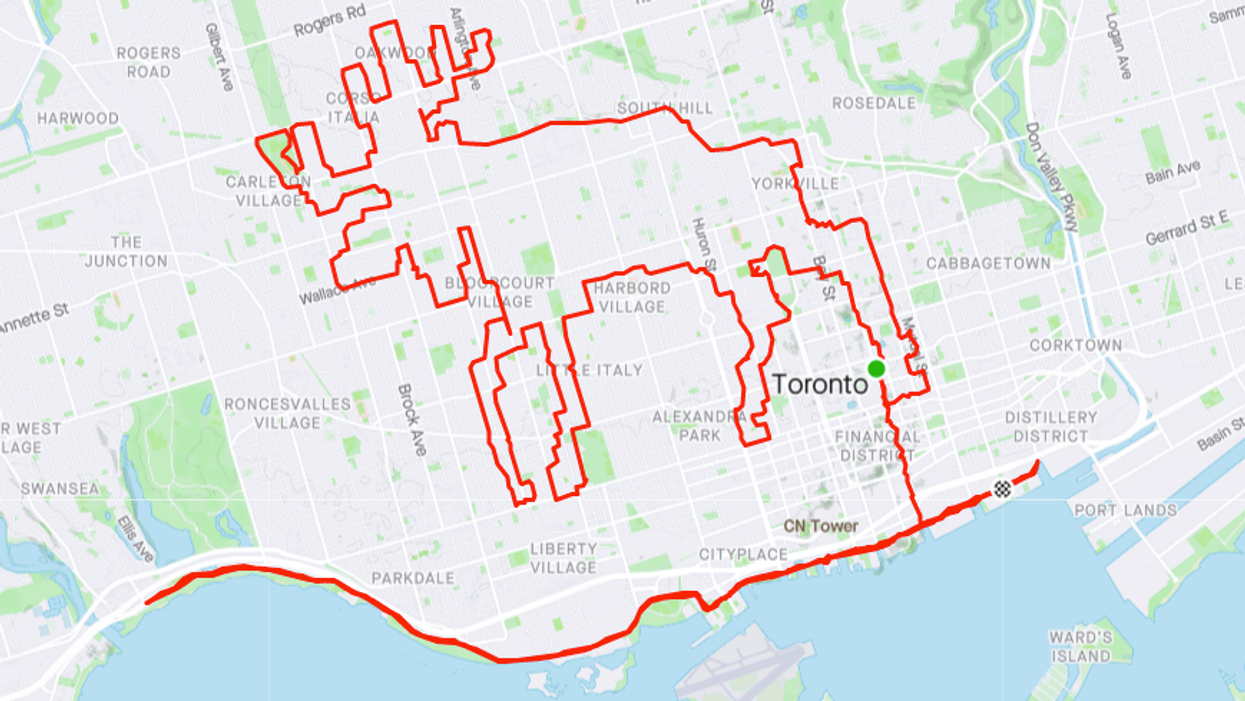 A Toronto Cyclist Turned His 101K Bike Ride Into A Moose For Some Special Canadian Magic