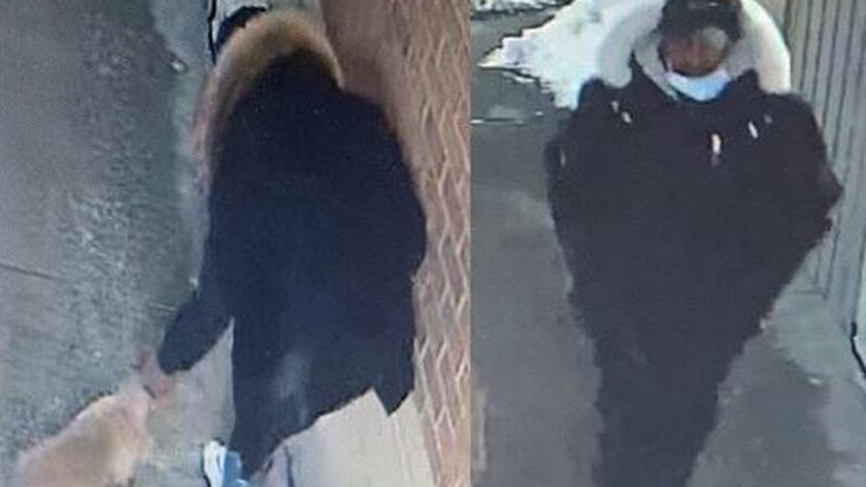 A Toronto Man Was Allegedly 'Pistol-Whipped' After Refusing To Buy A Puppy