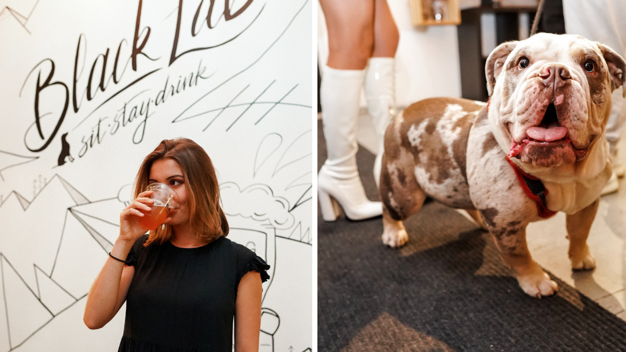 A Toronto Pub Is Hosting A Singles Night For You & Your Dog This Valentine's Day
