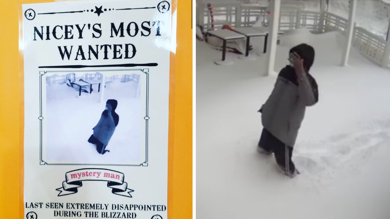 A Torontonian Who Walked In A Blizzard For Takeout Is Now On The Resto's Most Wanted List