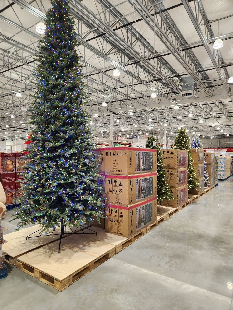 A towering Christmas tree decorated with multicoloured lights stands prominently inside the new Costco warehouse in Brantford, surrounded by boxed holiday decor items on pallets.