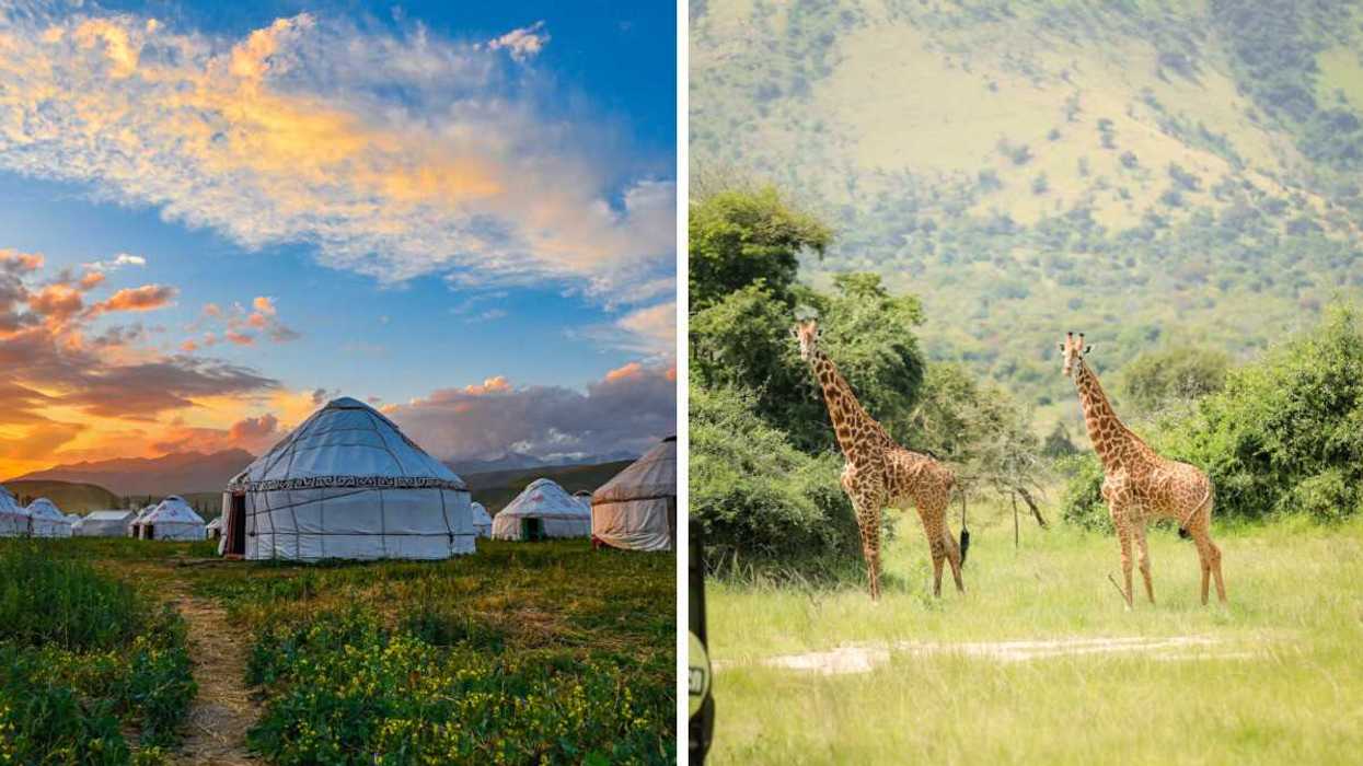 A traditional ger camp in Kazakhstan at sunset. Right: Giraffes spotted in Rwanda's Akagera National Park.