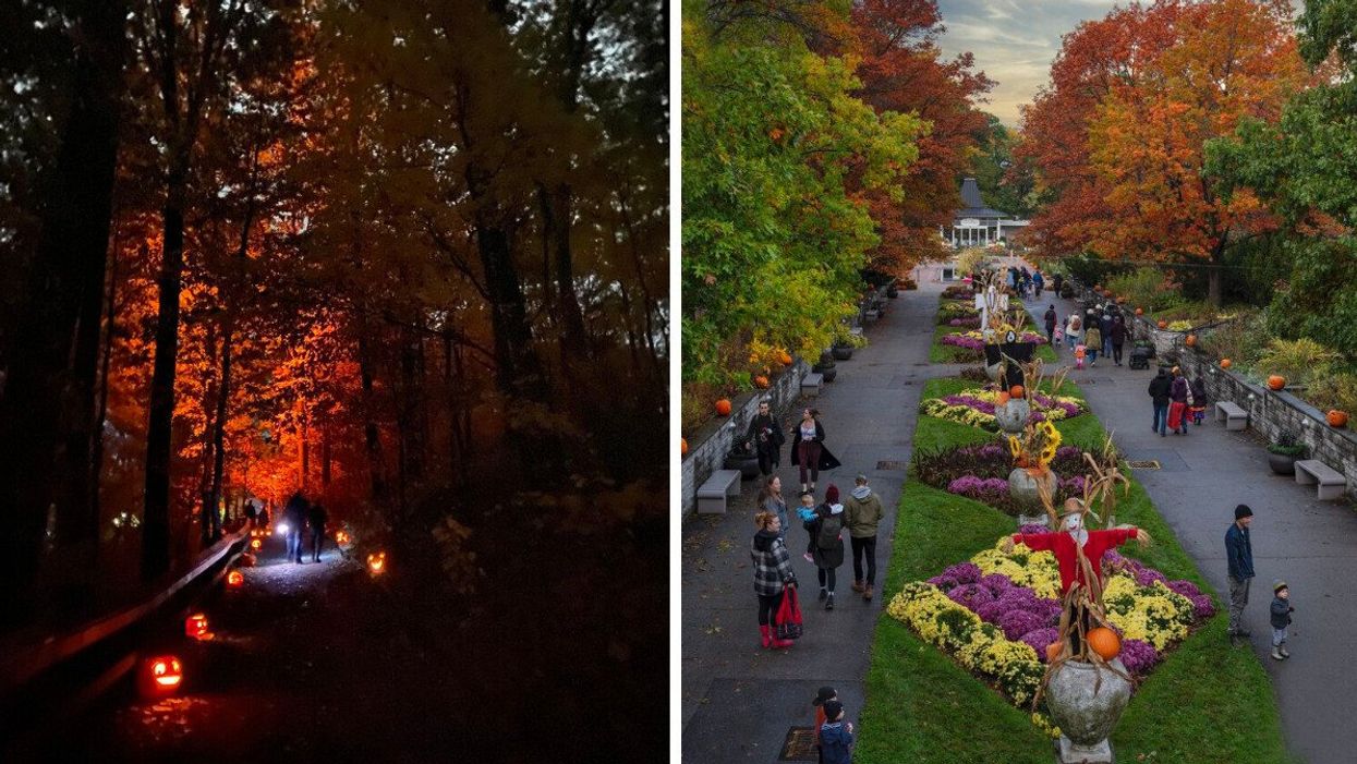 A trail with jack-o-lanterns. Right: A park during the fall.