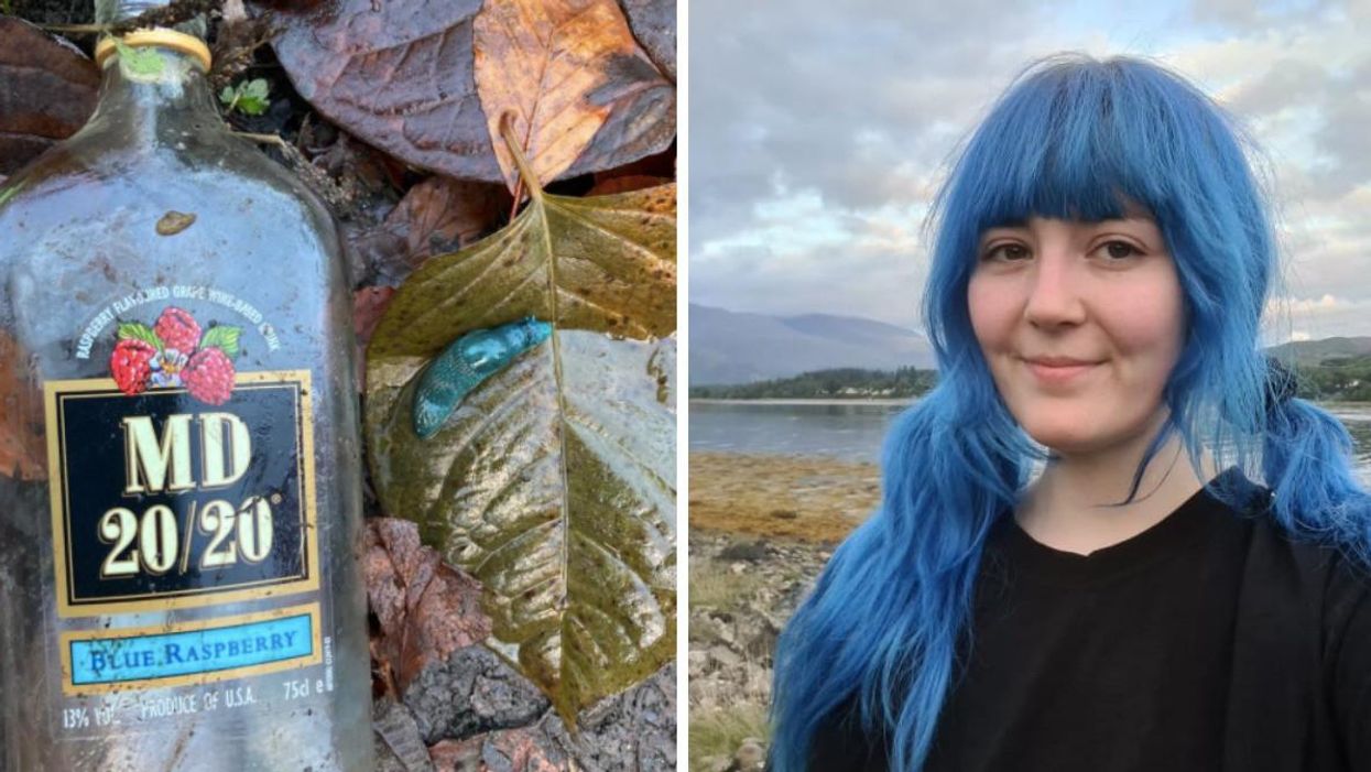 A Trash Collector Rescued A Slug That Had Turned Blue In A Liquor Bottle