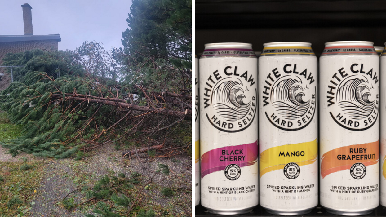 A tree felled by Hurricane Fiona. Right: Cans of White Claw Hard Seltzer.