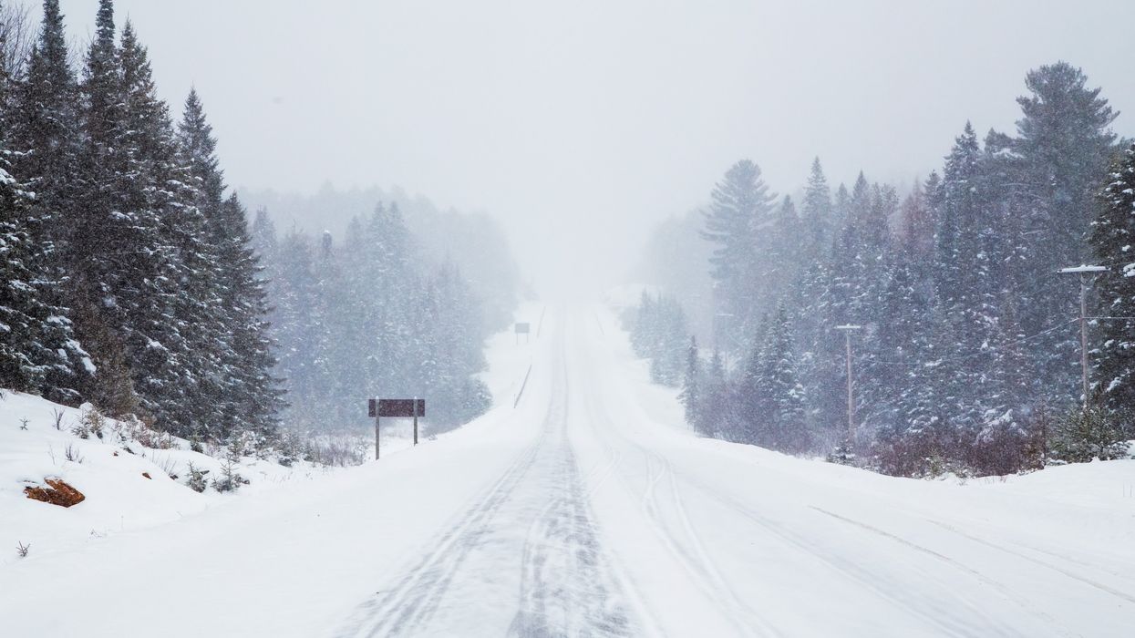A tree-lined road is seen covered in snow as snow blows over the area.