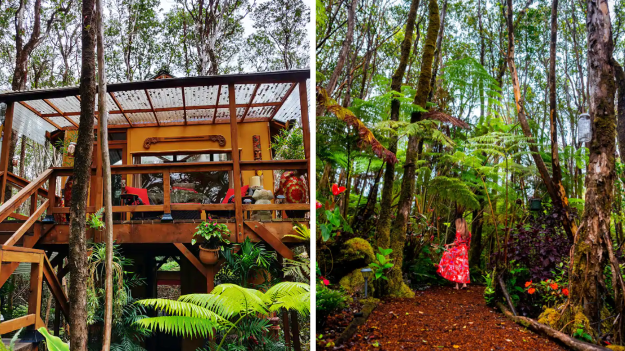 A treehouse in Hawaii. Right: A woman in the forest.