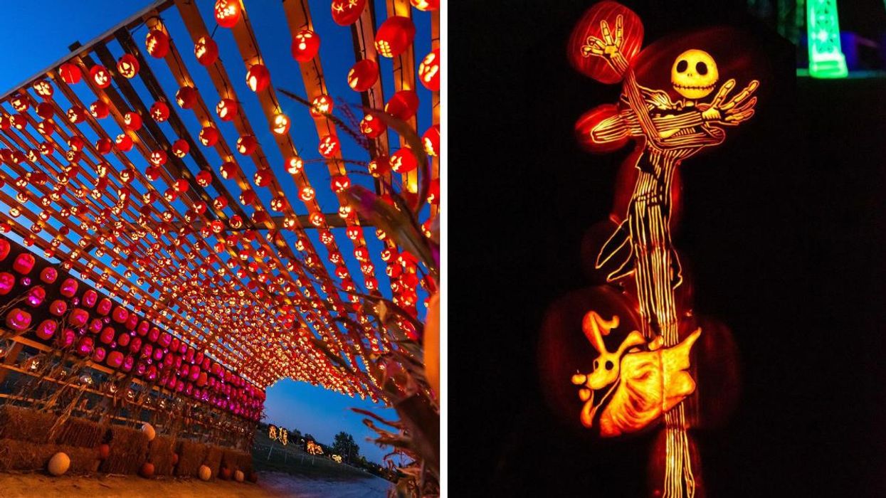 A tunnel of pumpkins. Right: Carved pumpkins.
