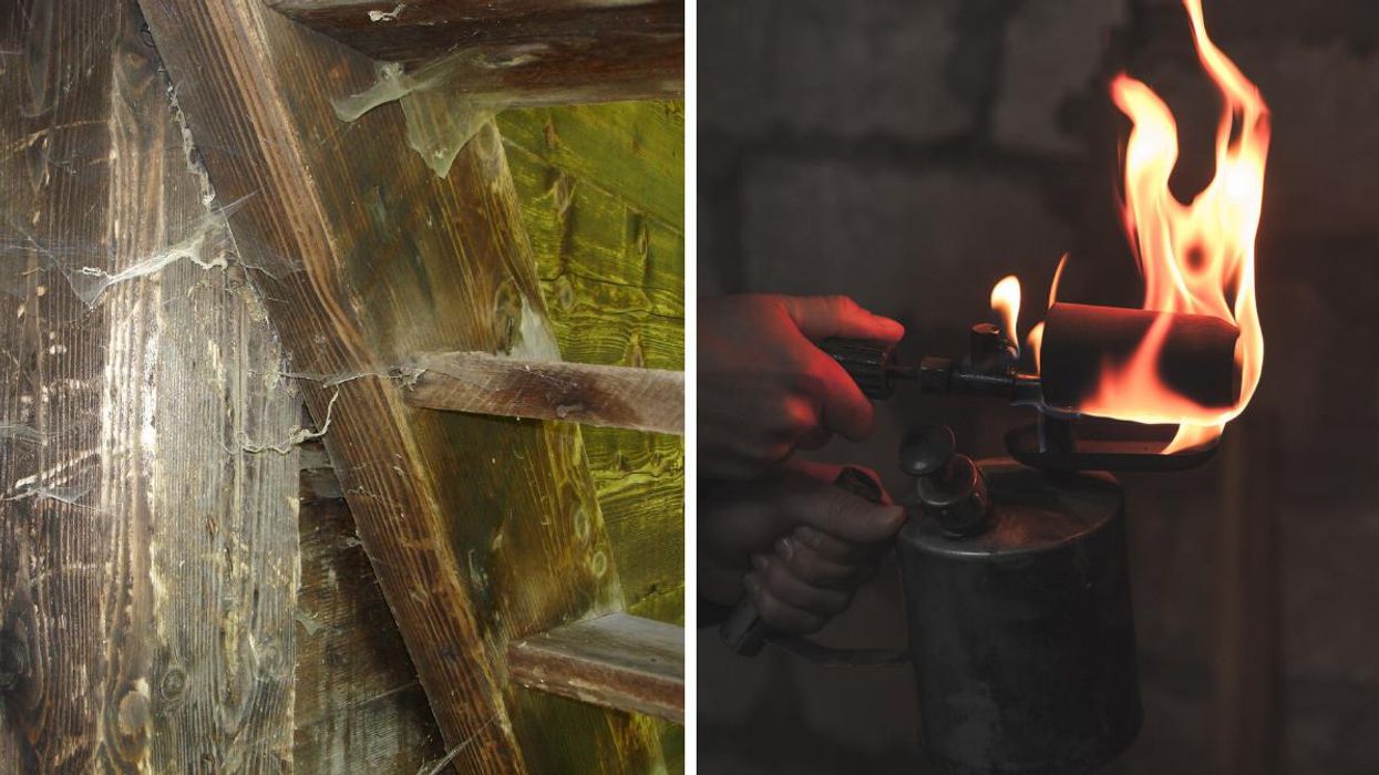 A US Man Allegedly Set His Mom's House On Fire & It Was All Because Of Some Spiders