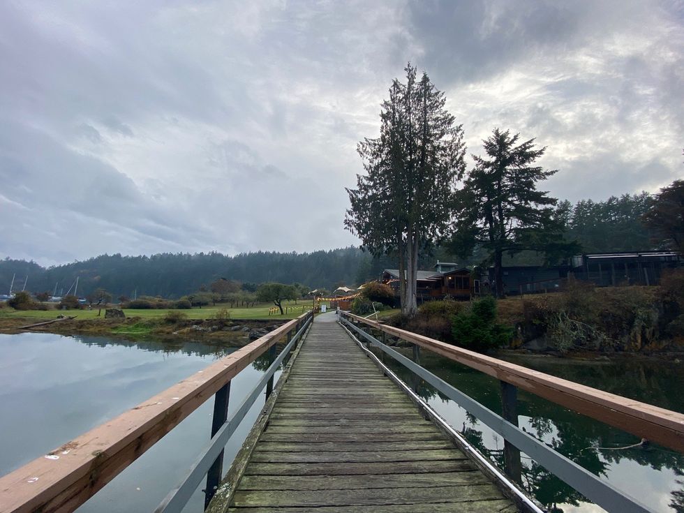 A view of a dock, a restaurant and trees.