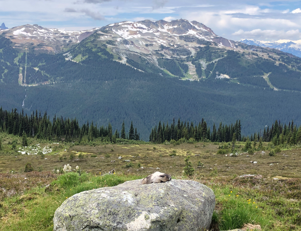 A view of a mountainscape.