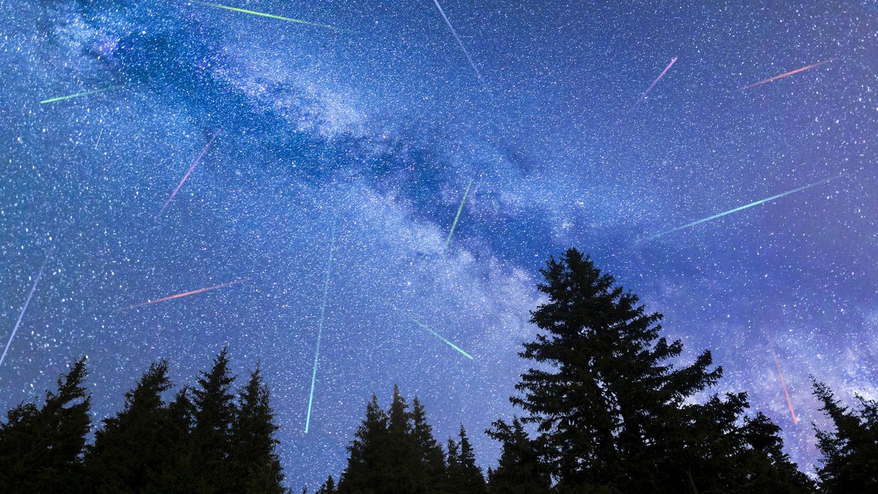 A view of the Perseids meteor shower.