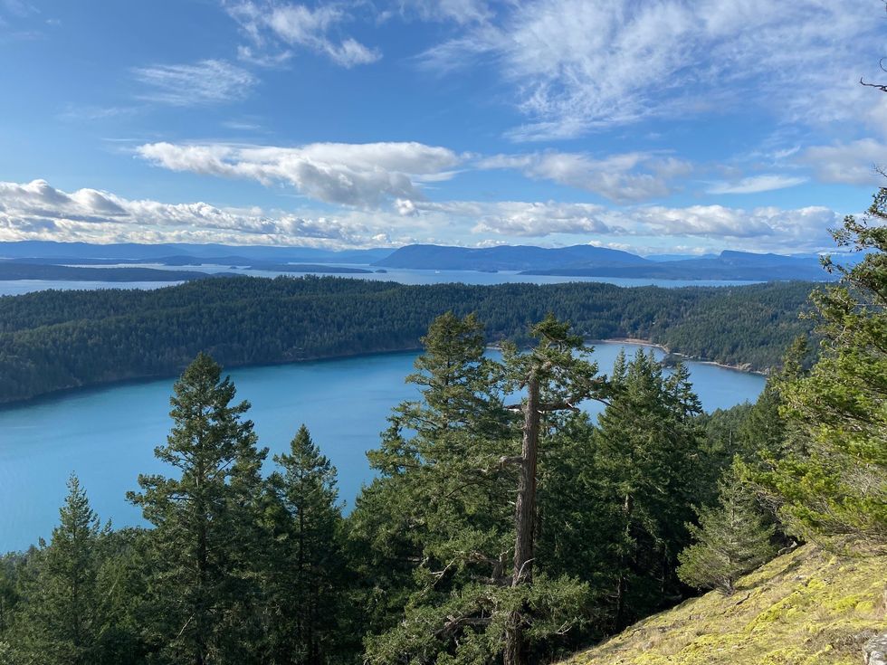 A view of trees, the ocean and mountains.