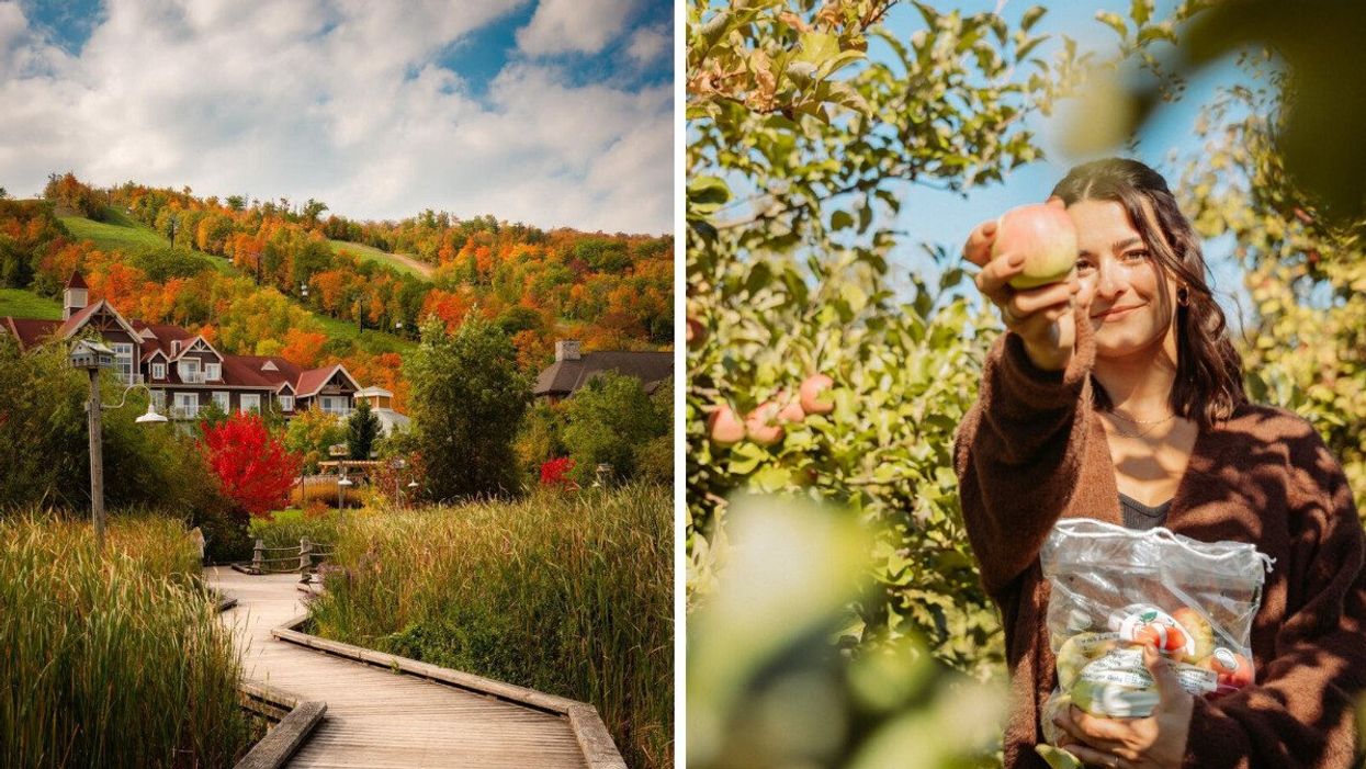A village during autumn. Right: A person picking an apple.