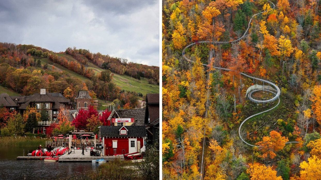 A village surrounded by fall colours. Right: A mountain coaster.