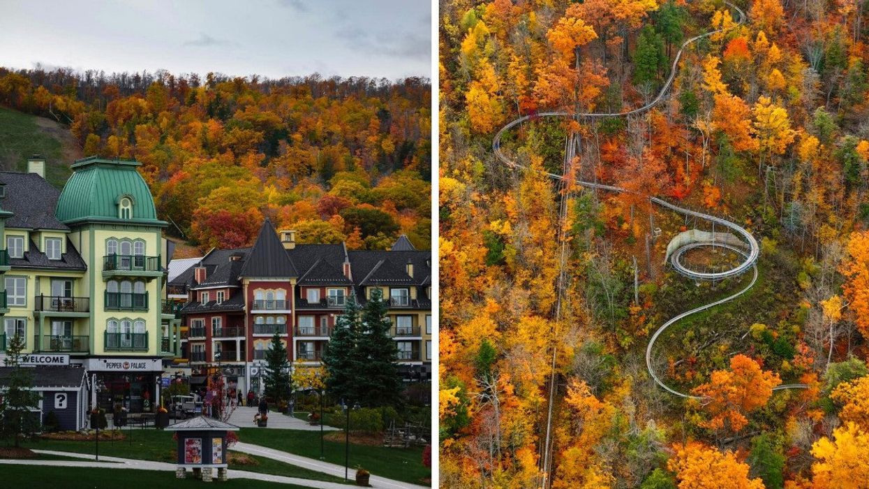 A village surrounded by fall colours. Right: A mountain coaster.