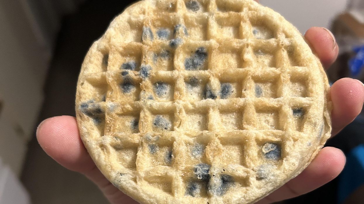 A waffle with mold.